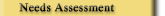 Needs Assessment